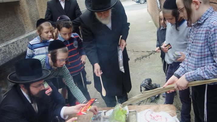 , , , ezra friedlander