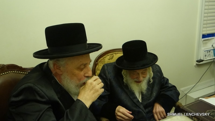 , , סקולען, ezra friedlander