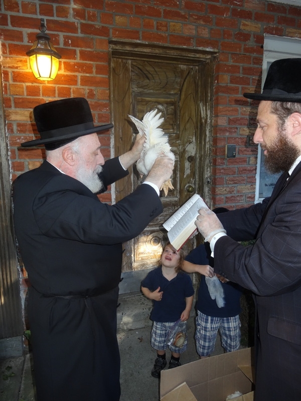 , , , ezra friedlander