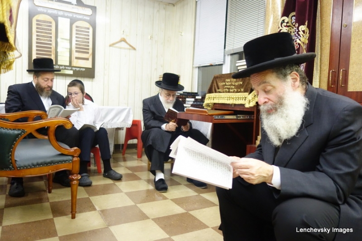 , , , ezra friedlander