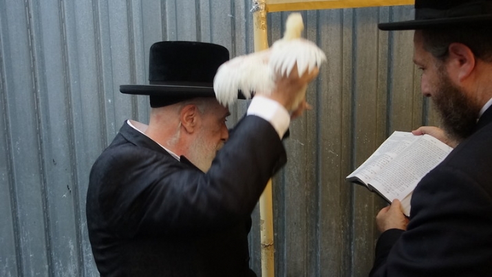 , , , ezra friedlander