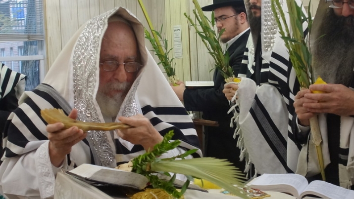, , , ezra friedlander