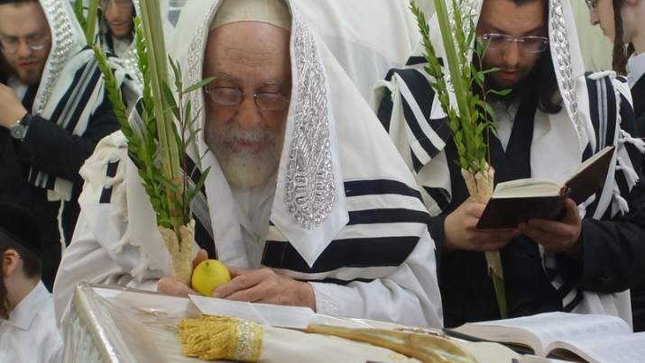 , , , ezra friedlander