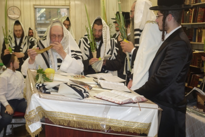 , , , ezra friedlander