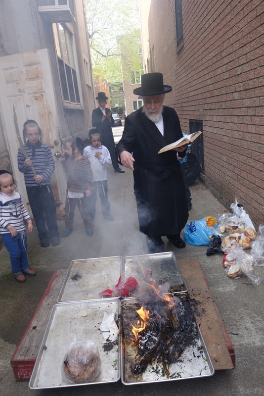 , , , ezra friedlander