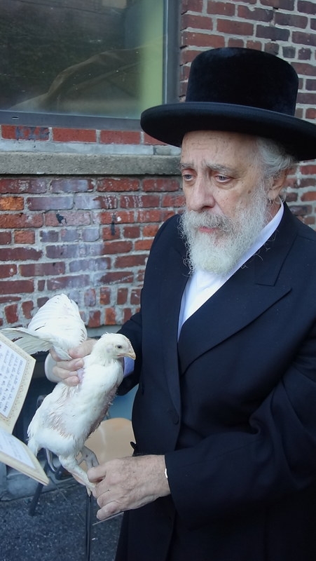 Kapores 5777, , , ezra friedlander