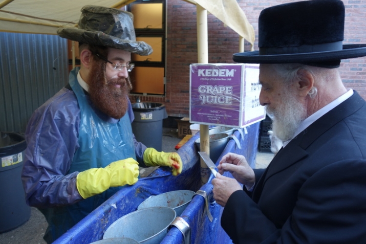 Kapores 5777, , , ezra friedlander