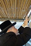 Liska Rebbe measuring distance between wall of Sukkah and schach to determine kosher status of Sukkah