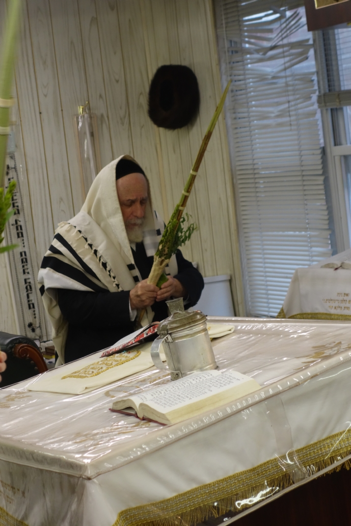 Hallel Chol Hamoed Sukkoth 5777, , , ezra friedlander