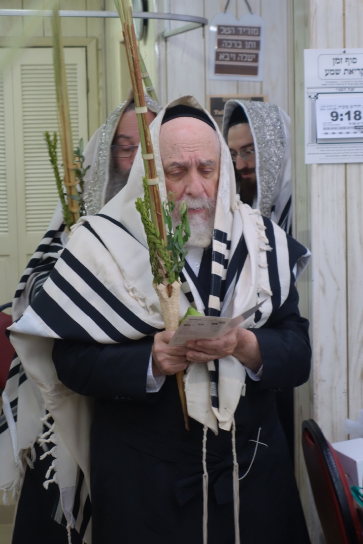 Hallel Chol Hamoed Sukkoth 5777, , , ezra friedlander
