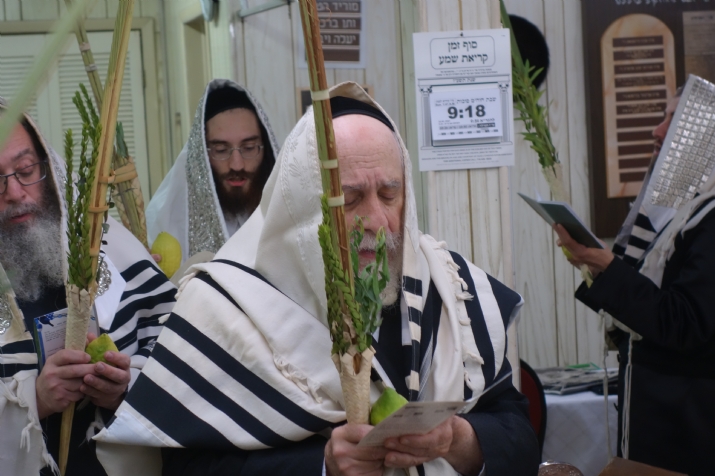 Hallel Chol Hamoed Sukkoth 5777, , , ezra friedlander