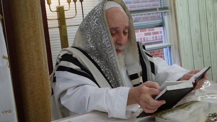 Hoshana Raba 5777, , , ezra friedlander