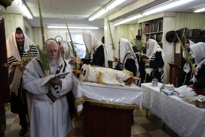 Hoshana Raba 5777, , , ezra friedlander