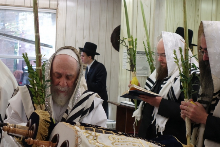 Hoshana Raba 5777, , , ezra friedlander