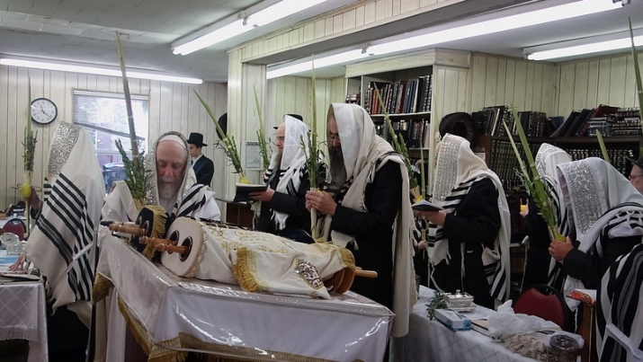 Hoshana Raba 5777, , , ezra friedlander