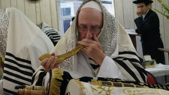 Hoshana Raba 5777, , , ezra friedlander