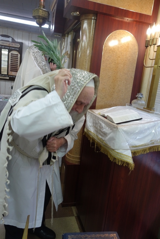 Hoshana Raba 5777, , , ezra friedlander