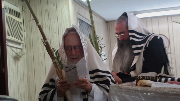 , , , ezra friedlander