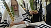 הושענא רבה תשפ״ג, 10/16/2022