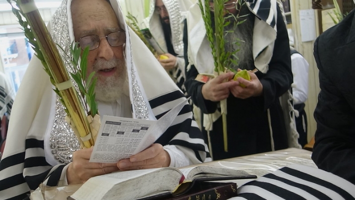 , , , ezra friedlander
