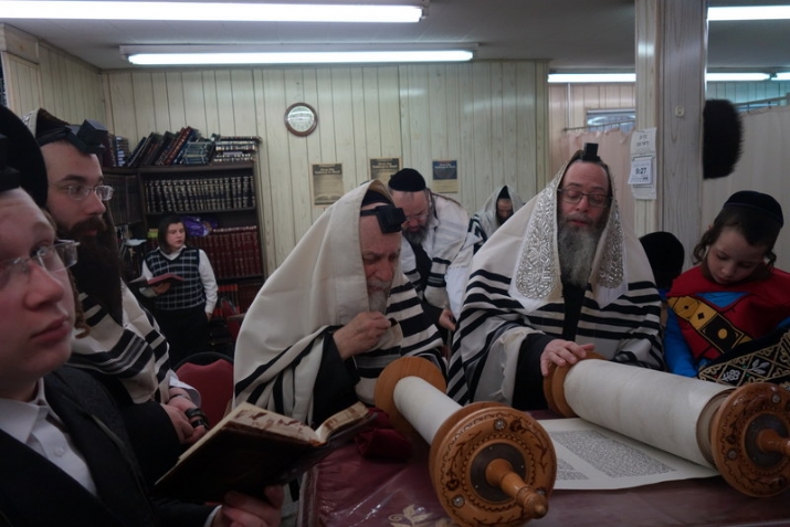 , , , ezra friedlander