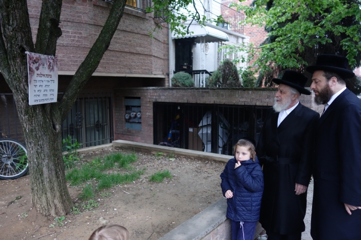 , , , ezra friedlander