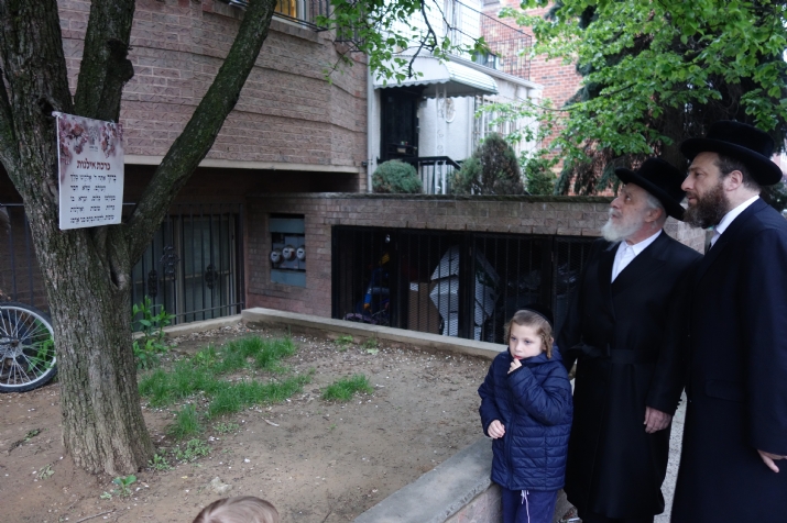 , , , ezra friedlander
