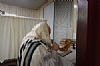 Yom Kippur 5781, 9/28/2020