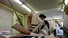 Hoshana Rabba 5781, 10/9/2020
