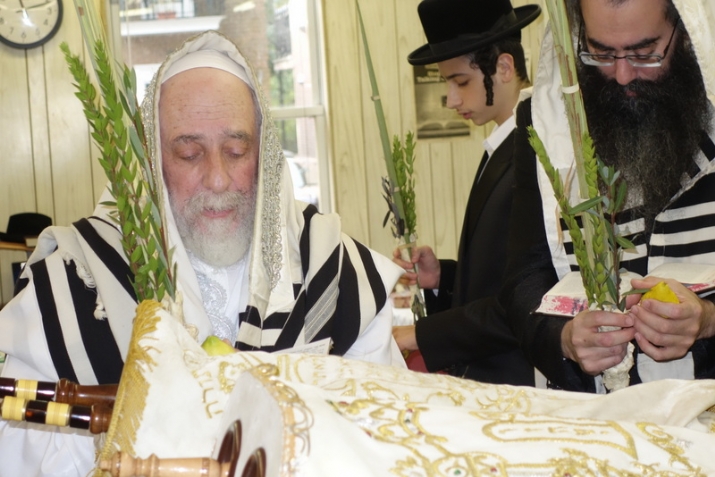 , , , ezra friedlander