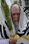Tishrei 5775, 9/25/2014