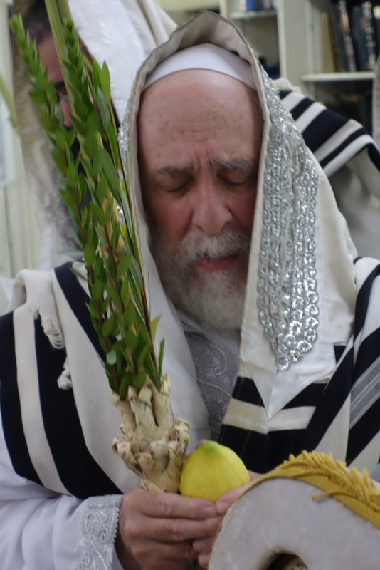 , , , ezra friedlander