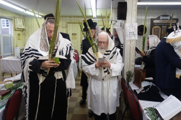 , , , ezra friedlander