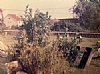Bais HaChaim Restoration 1984, 3/29/1985
