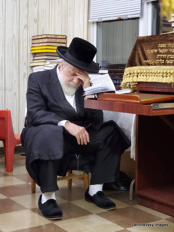 , , , ezra friedlander