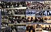 Shomloyer Rav granddaughter
