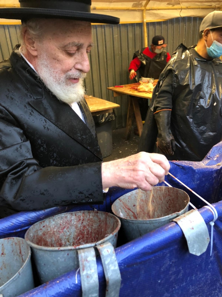 , , , ezra friedlander