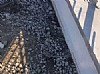 Parking lot Fence, 