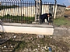 Parking lot Fence, 