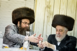 ווערעצקי