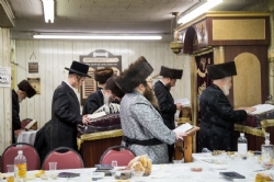 ווערעצקי