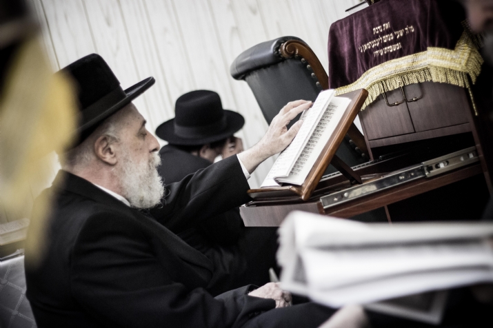 , , , ezra friedlander