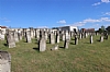 Cemetery Gallery, 