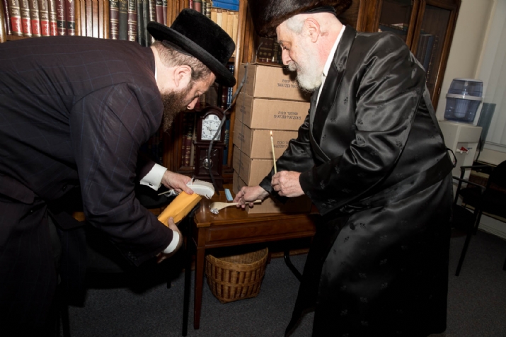 , , , ezra friedlander