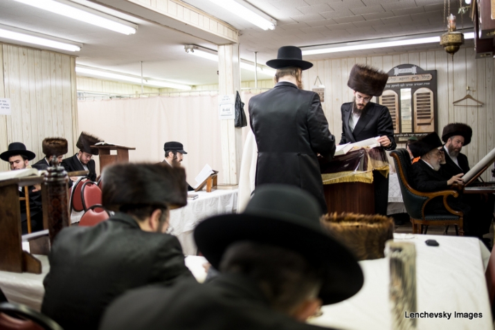 , , , ezra friedlander