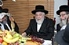 Tu Bishvat 5779, 