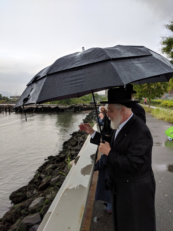 , , , ezra friedlander