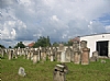 Summer 2006