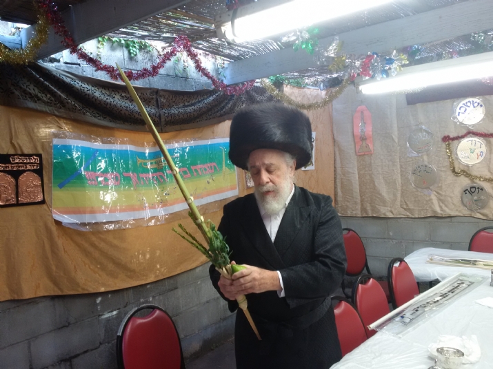 Benching Lulav 5777, , , ezra friedlander