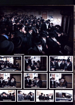 Dee Voch - January 26, 2018, אוהעל